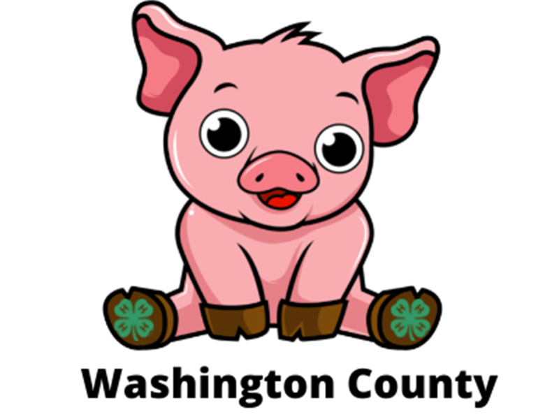 Logo for 2024 Washington County Fair