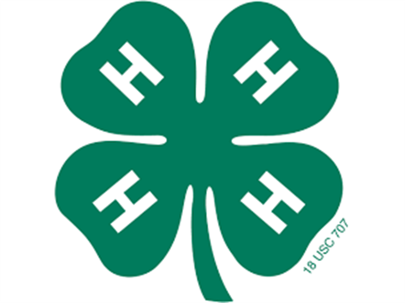 Logo for 2025 Dewey County 4-H Achievement Days