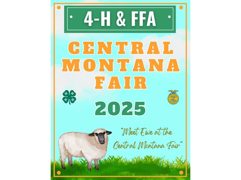 Fair Logo