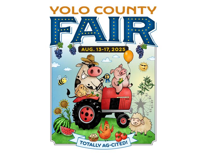 Fair Logo