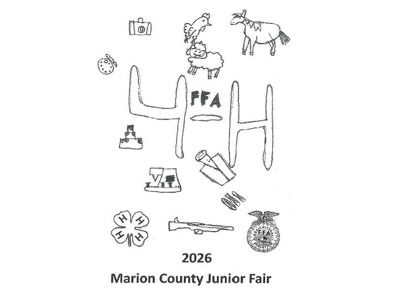 Fair Logo