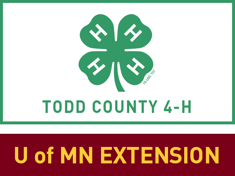 Logo for 2026 Todd County Fair