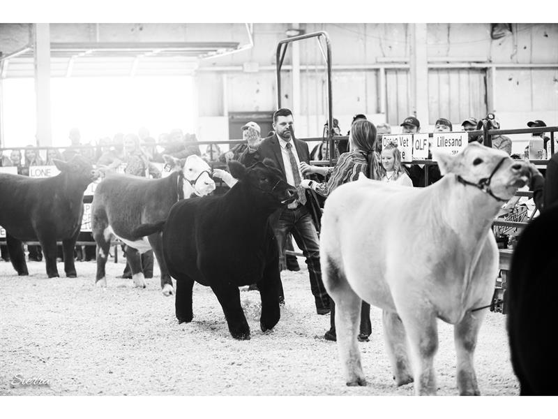 Logo for 2026 Athens County Fair